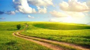 Сила простых шагов