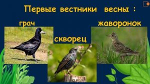 ВЕСНА. Окружающий нас мир.