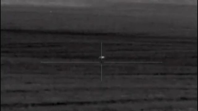 185m! Fox hunt. Pulsar Trail Lrf xq50. Thermal imaging scope.Lov lisky. Fuchs Jagt. Caccia di volpe смотреть онлайн