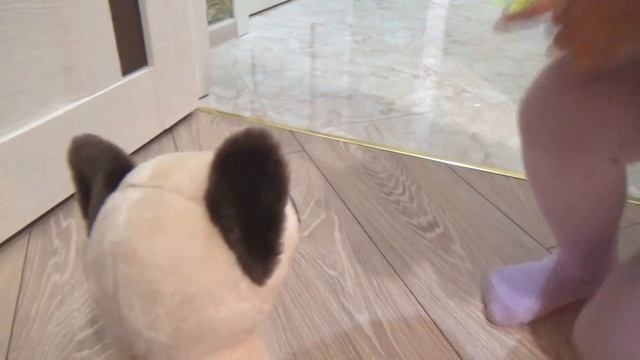 Алиса и котёнок Резиночка !!! Как нужно ухаживать за кошкой смотреть онлайн
