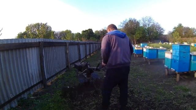 Посев фацелии на пасеке. смотреть онлайн