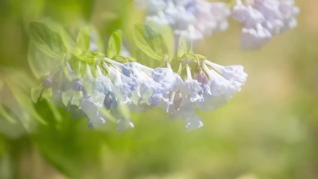 Canon EOS 5D Mark III - Tutorial Multiple Exposure Shooting 13/14 смотреть онлайн