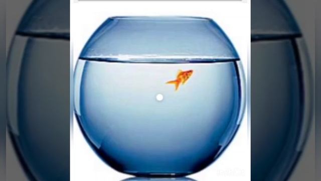 "Предметы окружающие нас" смотреть онлайн