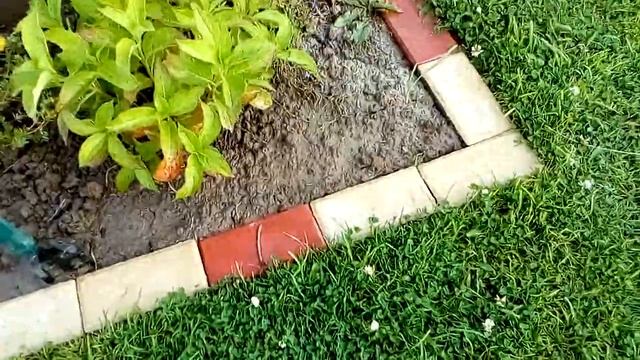 Клумбы в бордюрном камне. Только плюсы)) смотреть онлайн