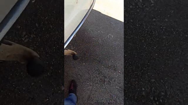 12 июля 2022 г. смотреть онлайн