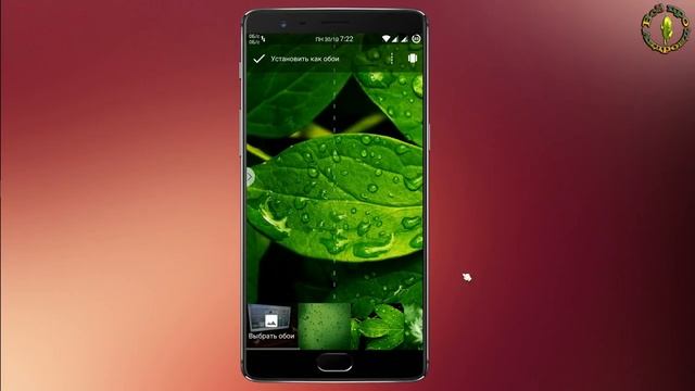 Как установить обои "Живая Земля" от Google Pixel смотреть онлайн