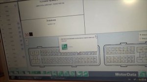 Ниссан Примера Р12 НЕ ЗАВОДИТСЯ! Ошибка Р0335.