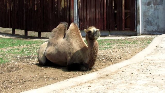 Экологический Уголок