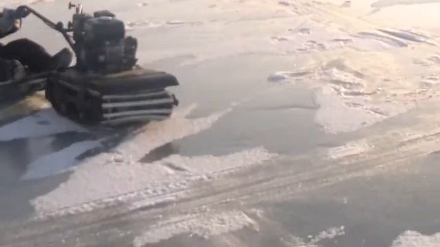 мото сабака смотреть онлайн