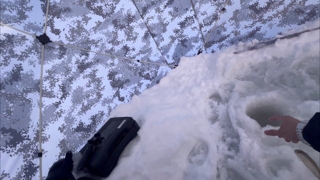 Мукбанг на рыбалке/ наловил и на сковородку/ Сахалин малоротая корюшка смотреть онлайн