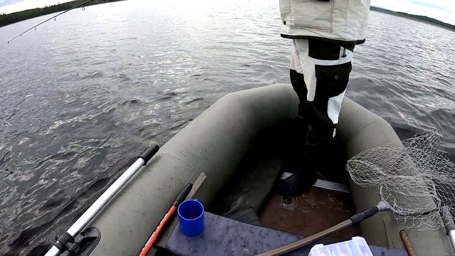 Трофейные Окуни на сколько КГ вытянули ? Огромные ОКУНИ КАК ЩУКА смотреть онлайн