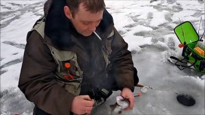 Отличный клёв форели на блёсна Williams Wabler и другие виды, даже крупного размера. Клёвое место.