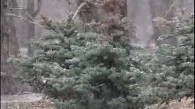 Tomsk. May. Snow. смотреть онлайн