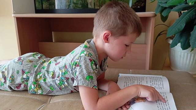 летнее чтение 2024