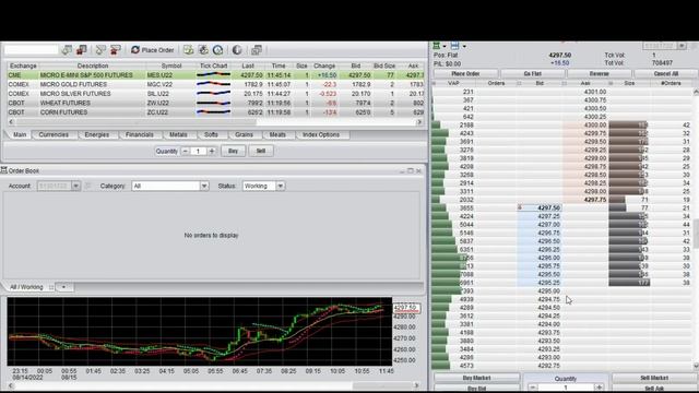 FireTip Pro - Placing a Bracket Order on DOM with Matt Kang of Cannon Trading Company смотреть онлайн