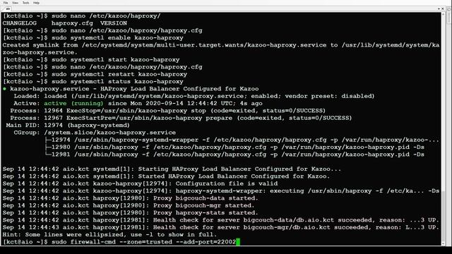 Kazoo Community Training E01 - All In One Server Install смотреть онлайн