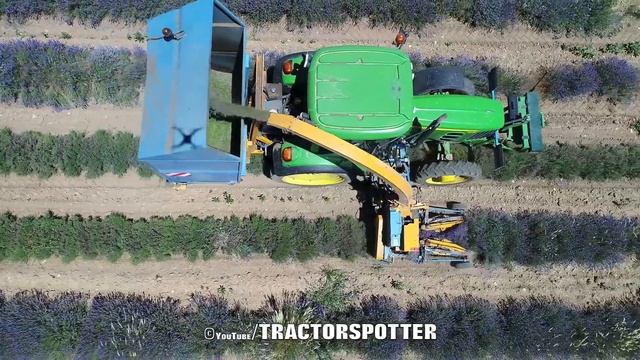 Lavender Harvest & Oil Distillation | Valensole - Provence - France ??| large and small scale смотреть онлайн