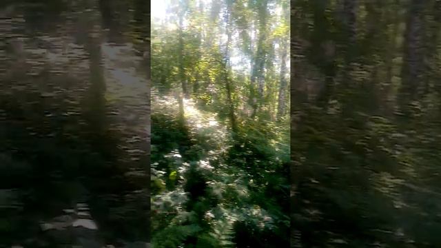 Смесь алабая смотреть онлайн