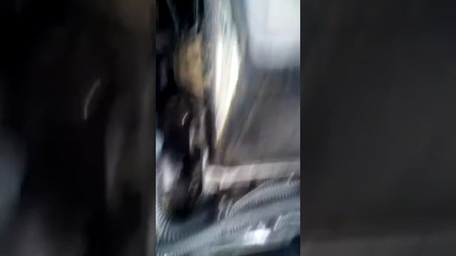 Ситроен с4 прочерк вместо скоростей