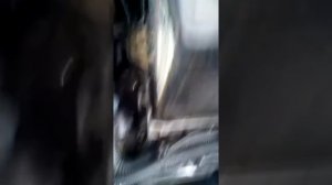 Ситроен с4 прочерк вместо скоростей