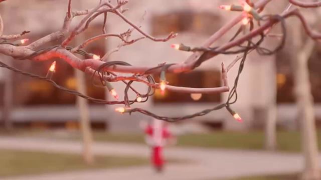 FOQUITOS DE NAVIDAD - FULL REMIX (tik tok navidad 2023) смотреть онлайн