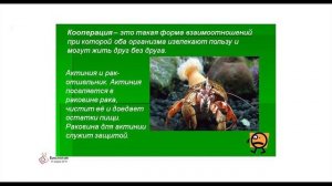 2-урок Биология ОГН 11-класс. Взаимоотношения организмов и среды