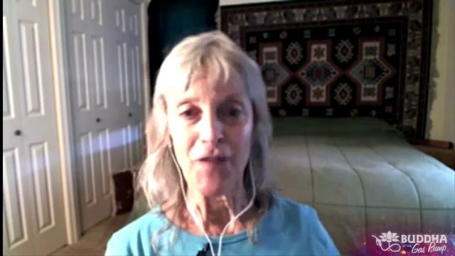 Karlene Stange, DVM - on the Spiritual Nature of Animals - Buddha at the Gas Pump Interview смотреть онлайн