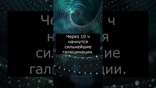Что будет если провести 100 дней в ТЕМНОТЕ? смотреть онлайн