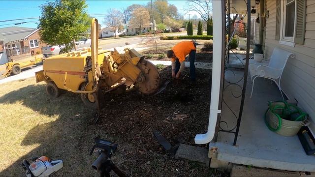 "How Plywood Saved The Day: Tree Stump Removal Gone Right!" смотреть онлайн