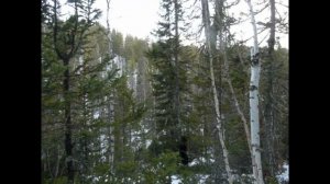 Глухая тайга. Охота в Сибири. Жизнь в тайге,, красота Прибайкальской дикой тайги....mp4