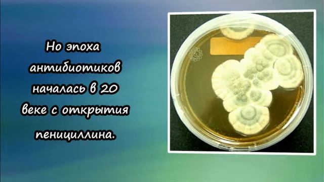 Открытие пенициллина