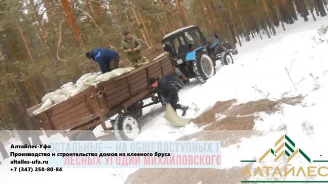 «Алтайлес» открыл сезон подкормки животных.mp4 смотреть онлайн