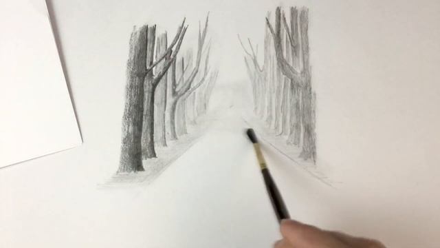 How to Draw a Trees Park with Pencil for Beginners Step by Step Very Easy смотреть онлайн