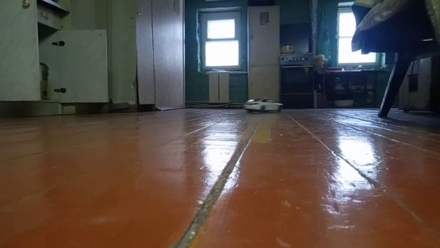 BMW M4 F82 Rastar 1:14