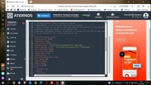 Как настроить плагины на Атернос? | Как закинуть сборку сервера на Атернос? | С 2022 ГОДОМ!!!!❤ #2