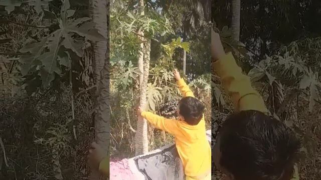 Title peapea parchea 😘😘 смотреть онлайн