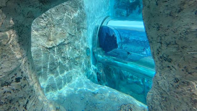 The incredible zoo in Asahikawa, Hokkaido during the 2023 Golden Week holiday. смотреть онлайн