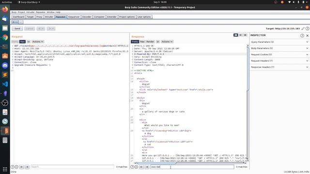 TryHackMe - Dogcat смотреть онлайн