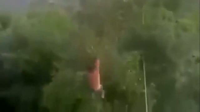 ПРАВИЛЬНАЯ РЕКЛАМА |RYTP| #1 смотреть онлайн