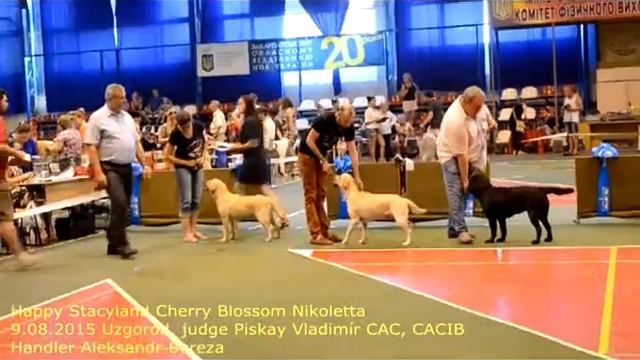 Международная выставка собак г.Ужгород