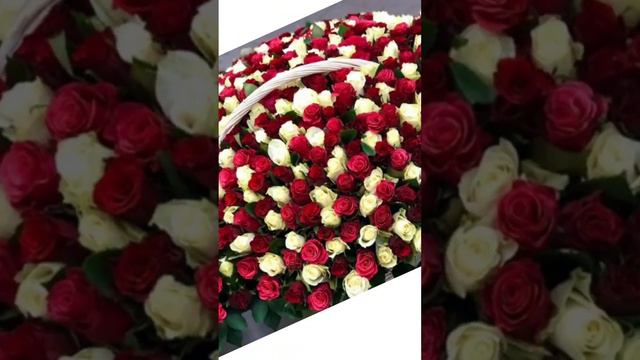 С Днём рождения, Мила! смотреть онлайн