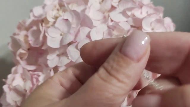 Серебро 925', цепи и браслеты#серебро925 смотреть онлайн