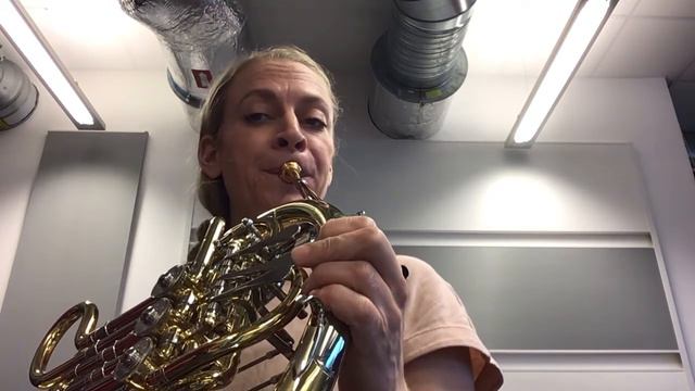 Naturtoner B-horn. f, C1, F1, A1, C2 смотреть онлайн