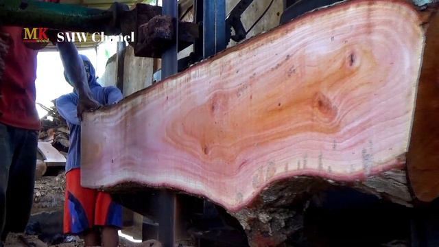 sebongkah harapan sawmil. wujud asli kayu mahoni raja hutan yg jadi sorotan diseluruh penjuru dunia смотреть онлайн