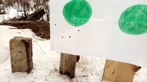 карабина ВПО-123. 7,62*54. приведение Оружия к нормальному бою. пристрелка.