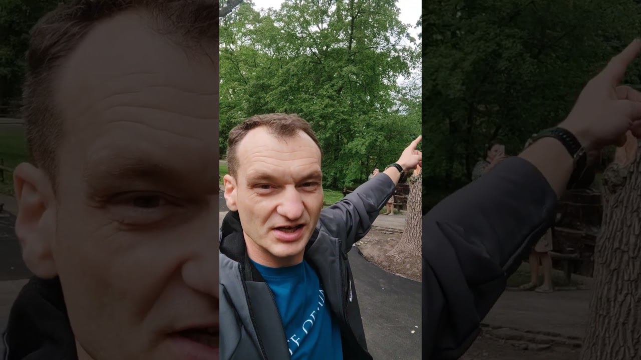 28 июня 2024 г.