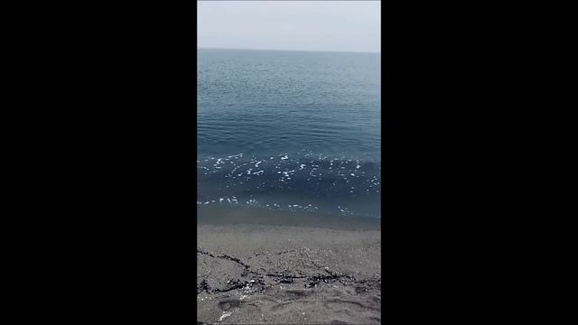 آهنگ عاشقانه بسیار زیبای عمر گل لاله - omre gole laleh смотреть онлайн