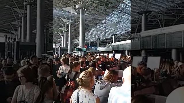 Внуково. 04.07.2017 Едем в отпуск. Задержка более 12 часов. И неизвестно что дальше