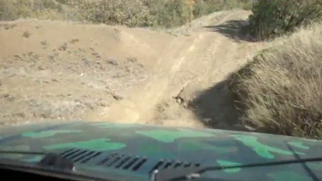 Нива тайга. Дорога к морю смотреть онлайн