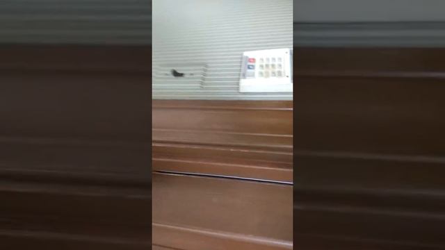 Tryon tour смотреть онлайн